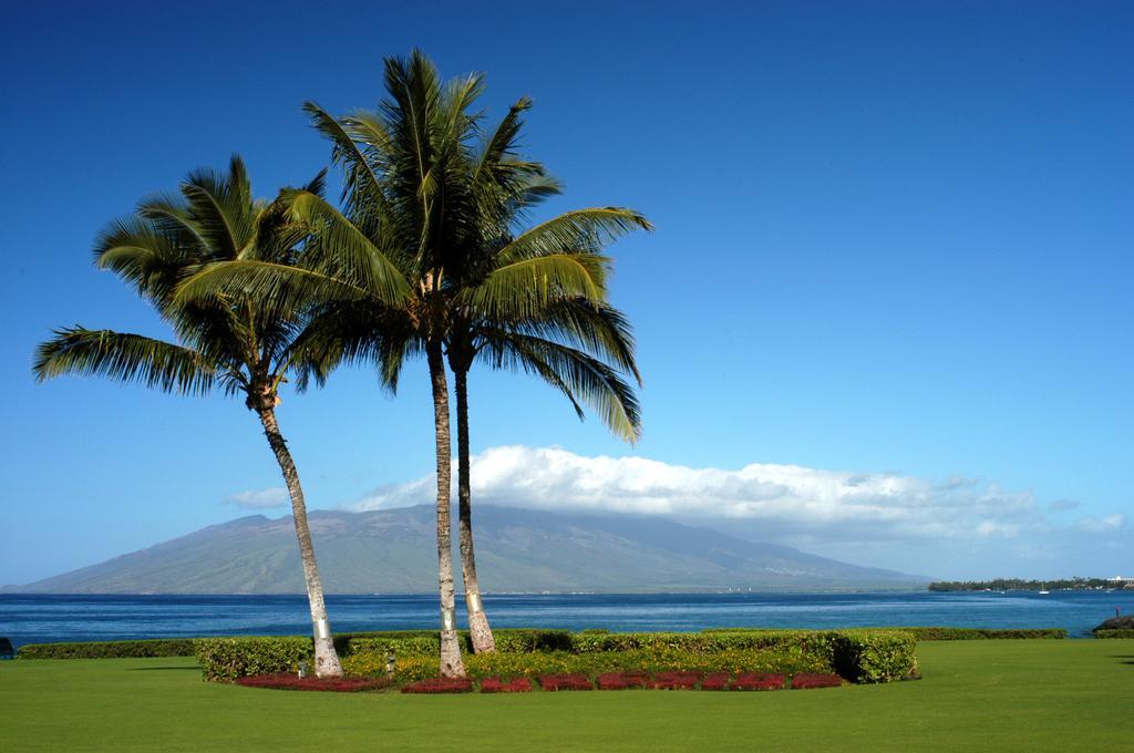 Kihei Surfside By Condominium Rentals Hawaii Makena Oda fotoğraf